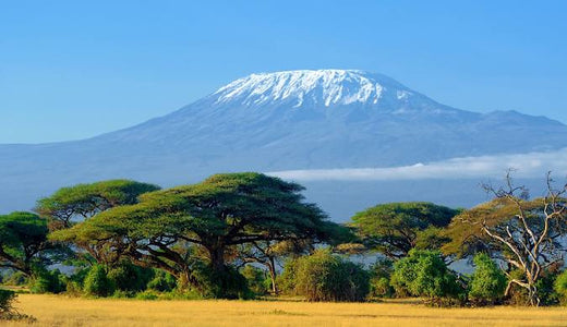 Climbing Mount Kilimanjaro